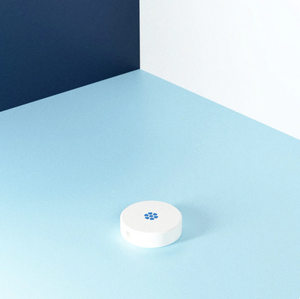 FAKE POPS BY DAISY MAKES