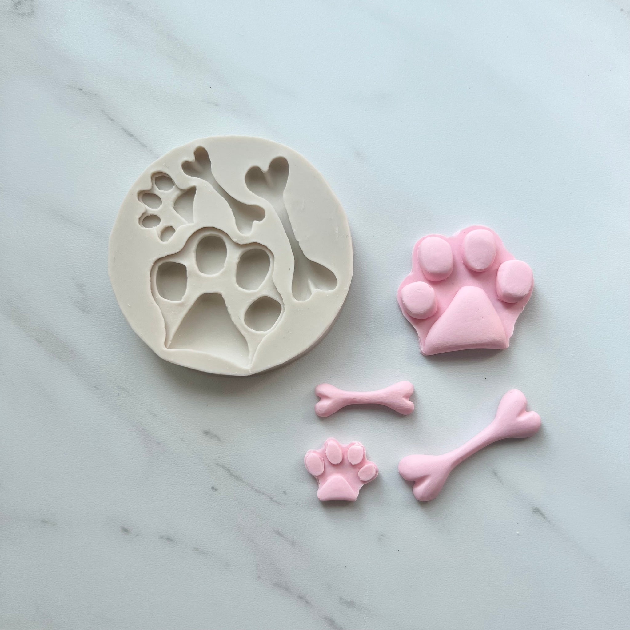 PAWS AND BONES MOLD