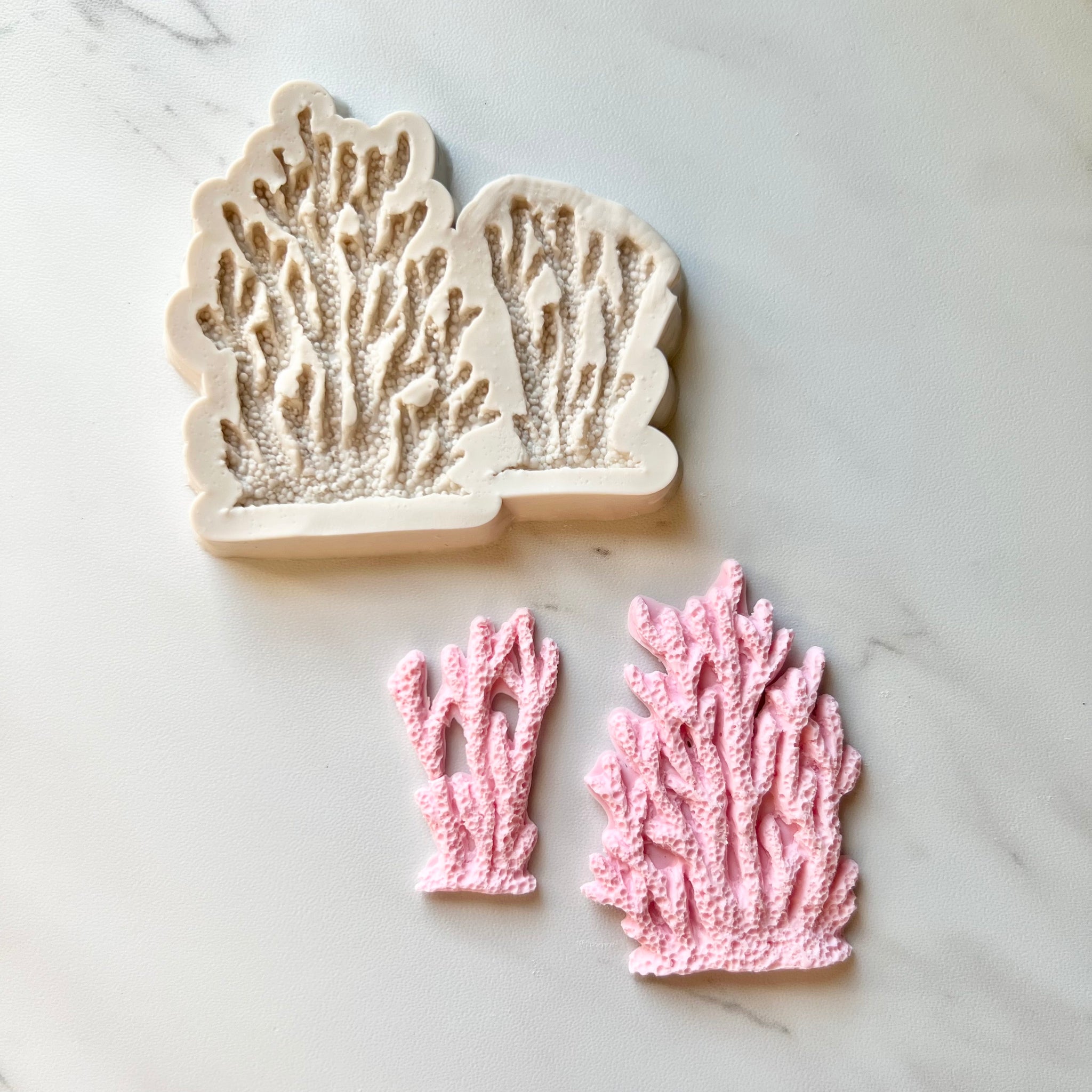 CORAL REEF MOLD