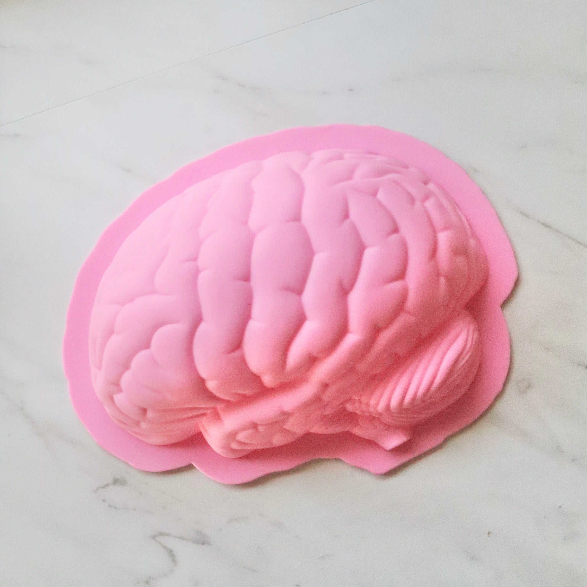 BRAIN BREAKABLE MOLD